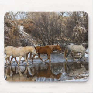 Tapis De Souris Ranch du cheval Hideout