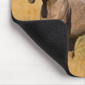 Tapis De Souris Ranch Living at The Ponderosa Ranch (Coin)