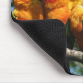 Tapis De Souris Rangée de petits perroquets mignons se blottissant (Coin)