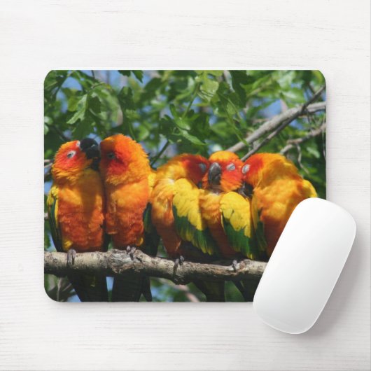 Tapis De Souris Rangée de petits perroquets mignons se blottissant (Avec souris)