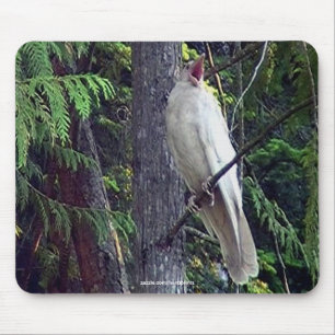 Tapis de souris Rare Corbeau Blanc