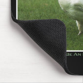 Tapis De Souris Rare White Raven Faune Photo (Coin)