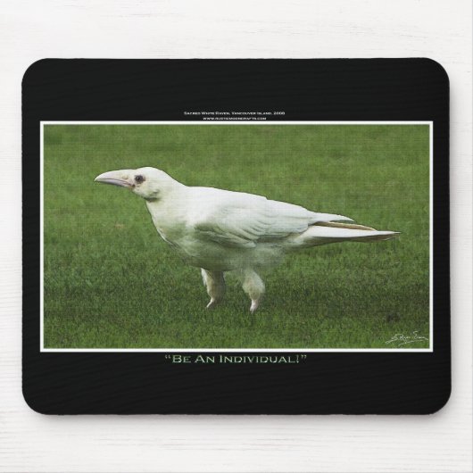 Tapis De Souris Rare White Raven Faune Photo (Devant)