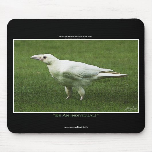 Tapis De Souris Rare White Raven Faune Photo (Devant)
