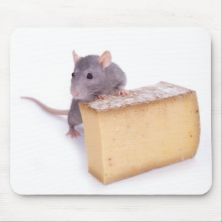 Tapis De Souris rat avec du fromage