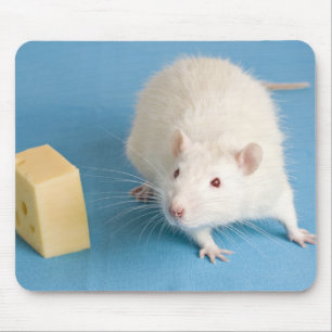 Tapis De Souris Rat blanc et un morceau de fromage