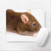 Tapis De Souris Rat Brown (Avec souris)