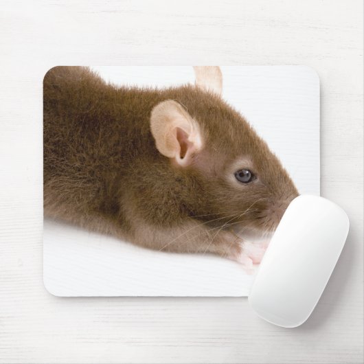 Tapis De Souris Rat Brown (Avec souris)