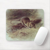 Tapis De Souris Rat Brown 1918 (Avec souris)