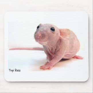 Tapis De Souris Rat chauve