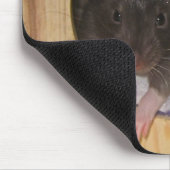 Tapis De Souris Rat Mousepad (Coin)
