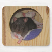 Tapis De Souris Rat Mousepad (Devant)
