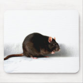 Tapis De Souris Rat mpcna (Devant)