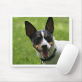 Tapis De Souris Rat terrier (Avec souris)