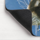 Tapis De Souris Raton laveur (Coin)