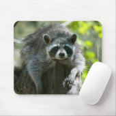 Tapis de souris Raton laveur (Avec souris)