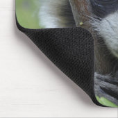 Tapis De Souris Raton laveur - #1005 (Coin)