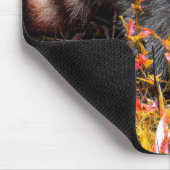 TAPIS DE SOURIS RATON LAVEUR EN AUTOMNE (Coin)