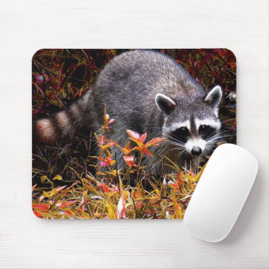 TAPIS DE SOURIS RATON LAVEUR EN AUTOMNE (Avec souris)