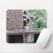 Tapis De Souris Raton laveur timide Mousepad (Avec souris)