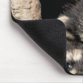 Tapis De Souris Ratons laveurs dans la cavité de l'arbre Procyon (Coin)