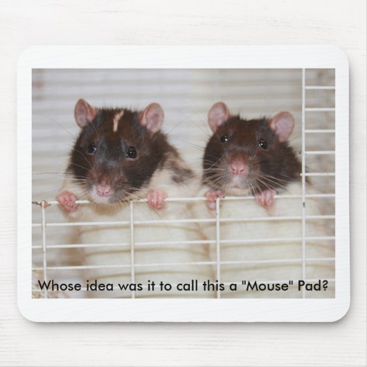 Tapis De Souris RatPad (Devant)