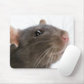 Tapis De Souris Rats ! ! ! (Avec souris)