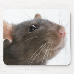 Tapis De Souris Rats ! ! !
