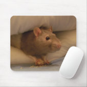 Tapis De Souris ratty (Avec souris)