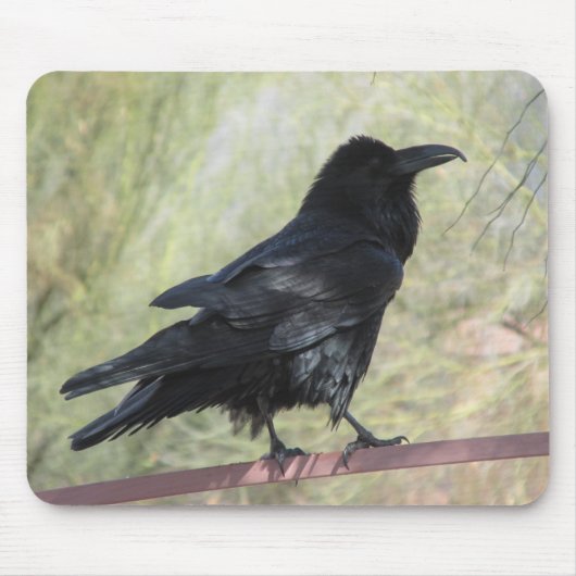 Tapis De Souris Raven Mousepad (Devant)