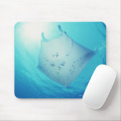 Tapis De Souris Rayon (Avec souris)