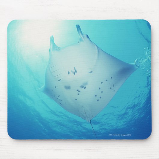 Tapis De Souris Rayon (Devant)