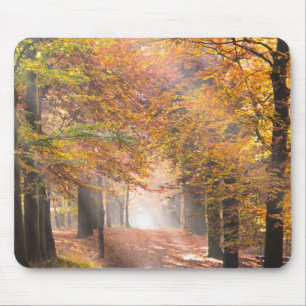 Tapis De Souris Rayons de soleil dans un mousepad de forêt