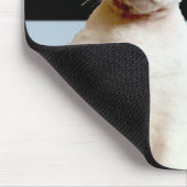 Tapis De Souris Rayure bleue/noire Mousepad de chat de Rex (Coin)