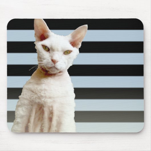 Tapis De Souris Rayure bleue/noire Mousepad de chat de Rex (Devant)