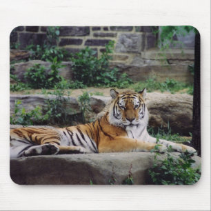 Tapis De Souris Rayures