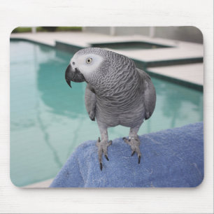 Tapis De Souris Réception au bord de la piscine de gris africain