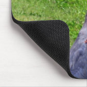 Tapis De Souris Recherche d'oiseaux (Coin)