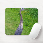 Tapis De Souris Recherche d'oiseaux (Avec souris)
