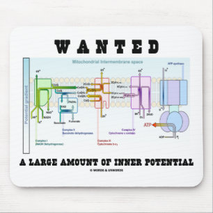 Tapis De Souris Recherché un grand nombre de potentiel intérieur