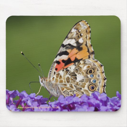 Tapis de souris récoltant du nectar (Devant)