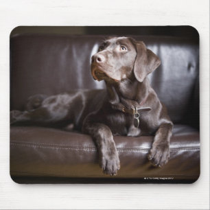 Tapis De Souris Récupérateur de chocolat Labrador