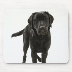Tapis De Souris Récupérateur de labrador noir