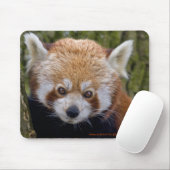 Tapis De Souris Red Bandit Mousemat (Avec souris)