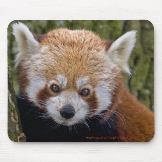 Tapis De Souris Red Bandit Mousemat (Devant)