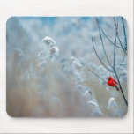 Tapis De Souris Red Cardinal dans Winter Nature Photo de Christmas<br><div class="desc">Une mousepad avec une photo nature pittoresque avec un cardinal rouge vif. Contrasté par rapport à un arrière-plan hivernal extérieur avec la neige tombant doucement vers le bas.</div>