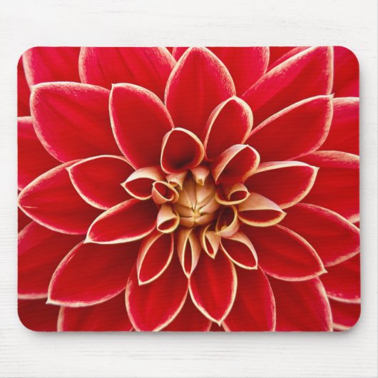 Tapis De Souris Red Dahlia (Devant)