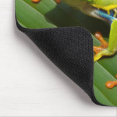 Tapis De Souris Red eyed tree frog (Coin)