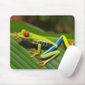 Tapis De Souris Red eyed tree frog (Avec souris)