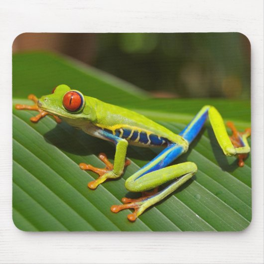 Tapis De Souris Red eyed tree frog (Devant)